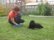 Превью фото № 169903