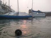 Превью фото № 169911