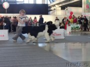 Превью фото № 169919