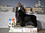 Превью фото № 169940