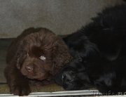 Превью фото № 169974