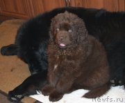 Превью фото № 169975