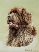 Превью фото № 170051