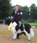 Превью фото № 17011