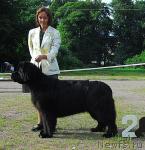 Превью фото № 17016