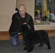 Превью фото № 170214