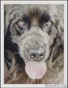 Превью фото № 170218