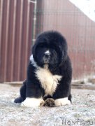 Превью фото № 170252