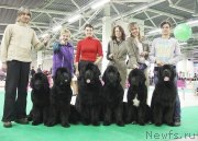 Превью фото № 170284