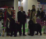 Превью фото № 170290