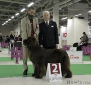 Превью фото № 170292