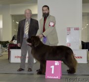 Превью фото № 170298