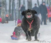 Превью фото № 170299