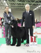 Превью фото № 170302