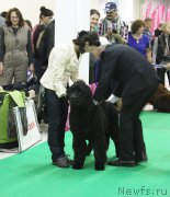 Превью фото № 170360