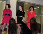 Превью фото № 170418