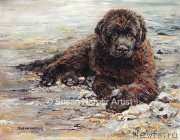 Превью фото № 170424