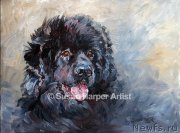 Превью фото № 170425