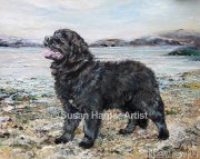 Превью фото № 170426