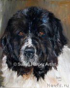 Превью фото № 170427