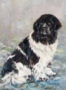 Превью фото № 170428