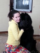 Превью фото № 170538