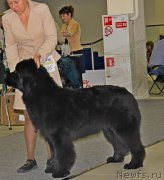 Превью фото № 170546