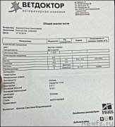 Превью фото № 170613