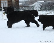 Превью фото № 170621