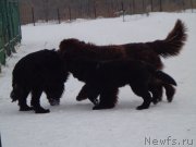 Превью фото № 170652