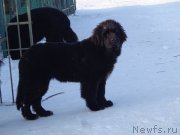 Превью фото № 170707