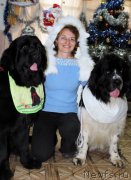 Превью фото № 170708