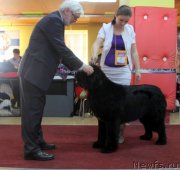 Превью фото № 170710