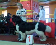 Превью фото № 170716