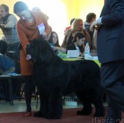 Превью фото № 170719