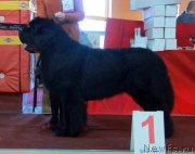 Превью фото № 170720