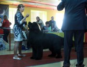 Превью фото № 170721