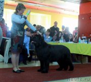 Превью фото № 170724