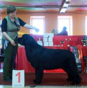 Превью фото № 170725