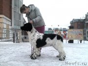 Превью фото № 170750