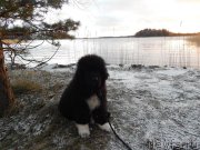 Превью фото № 170755