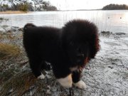 Превью фото № 170756