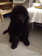 Превью фото № 170763