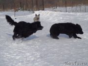 Превью фото № 170780