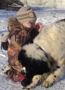 Превью фото № 170877