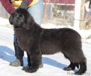 Превью фото № 170901