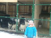 Превью фото № 170929