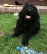 Превью фото № 170937