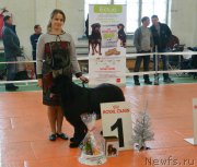 Превью фото № 171037