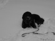 Превью фото № 171047